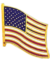 J137 American Flag Collar Pin